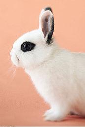 《死亡搁浅2》灵感源于疫情 小岛秀夫打造未有游戏